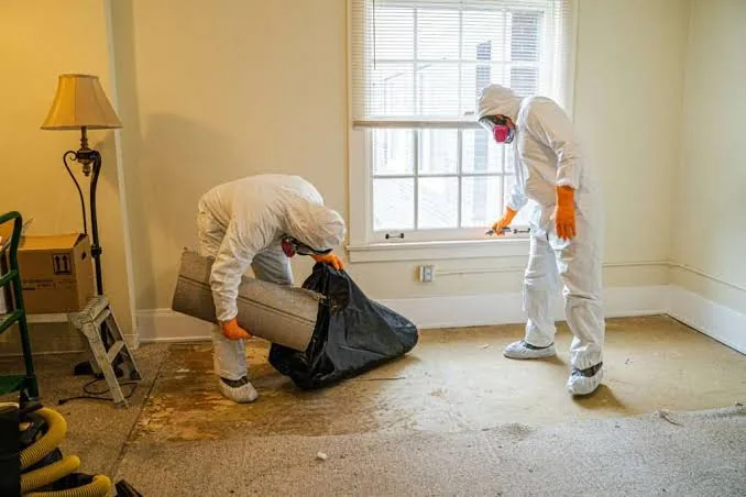 Crew in protective suits removing water-damaged carpet