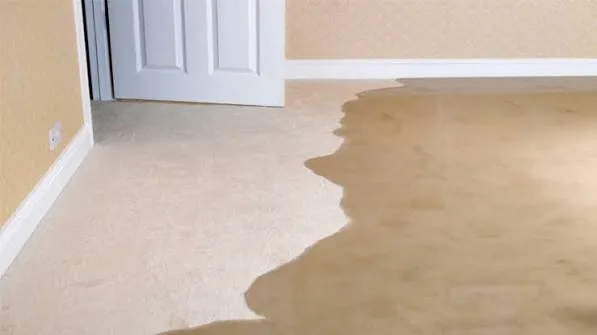 Wet carpet after a water leak